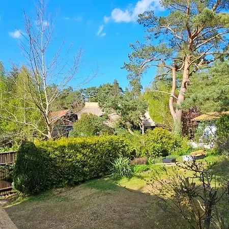 Sonnenschein * Neuhaus (Mecklenburg-Vorpommern)