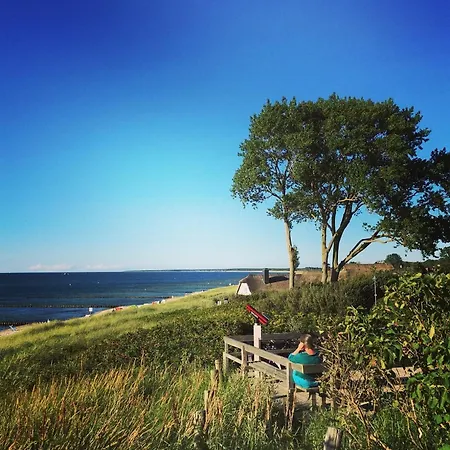 Sonnenschein * Neuhaus (Mecklenburg-Vorpommern)